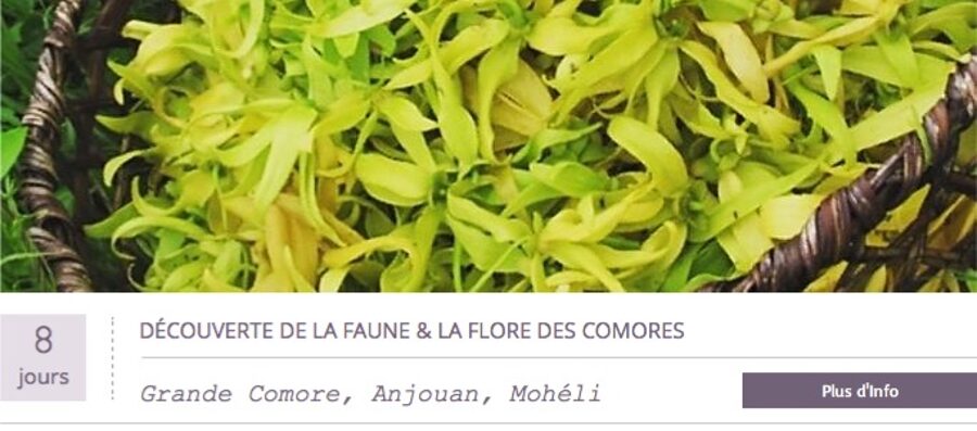 DÉCOUVERTE DE LA FAUNE & LA FLORE DES COMORES